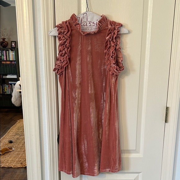 TCEC Dresses & Skirts - TCEC Velvet Dress in Soft Pink